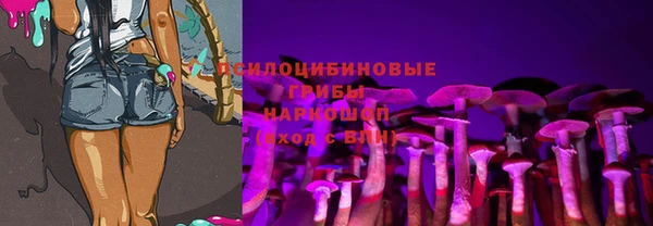 2c-b Няндома
